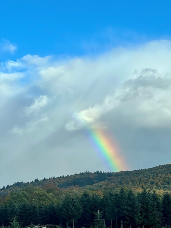 Sind die ambitionierten Wärmepumpenziele erreichbar?