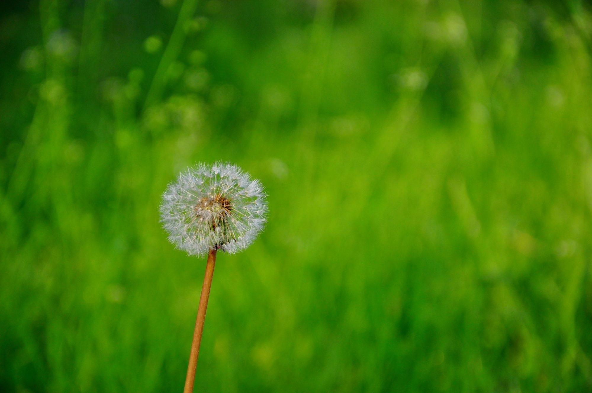 Air-to-air heat pumps